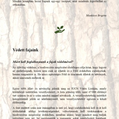 2025 JGI újság