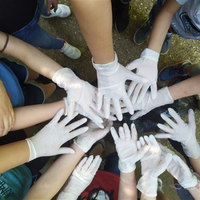 Eszterlánc Montessori Roots