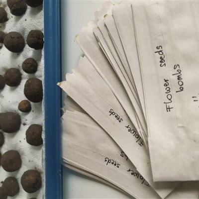 Eszterlánc Montessori Roots