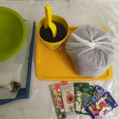 Eszterlánc Montessori Roots