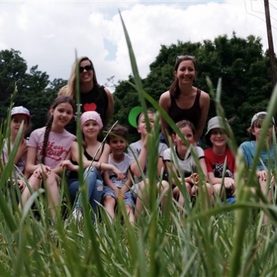 Eszterlánc Montessori Roots