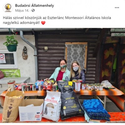 Eszterlánc Montessori Roots