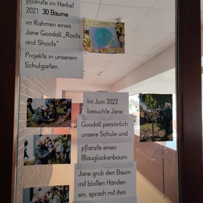Jane Goodall Intézetek találkozója Bécsben az EUPP4 projekt keretében