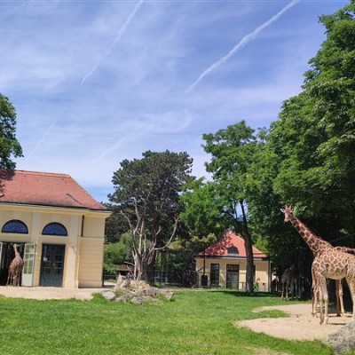 Jane Goodall Intézetek találkozója Bécsben az EUPP4 projekt keretében