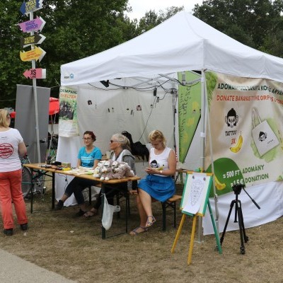 Sziget fesztivál 2019