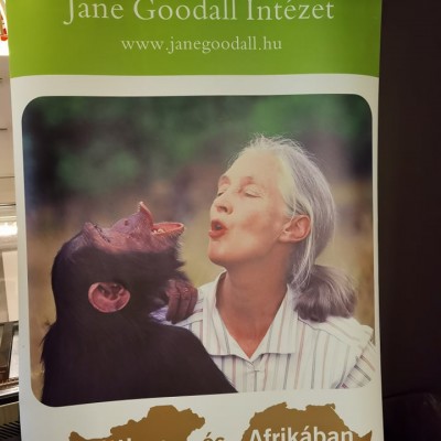 Ugandai kávéest